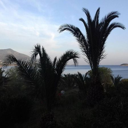 Andros Holiday Hotel Gavrio Zimmer foto