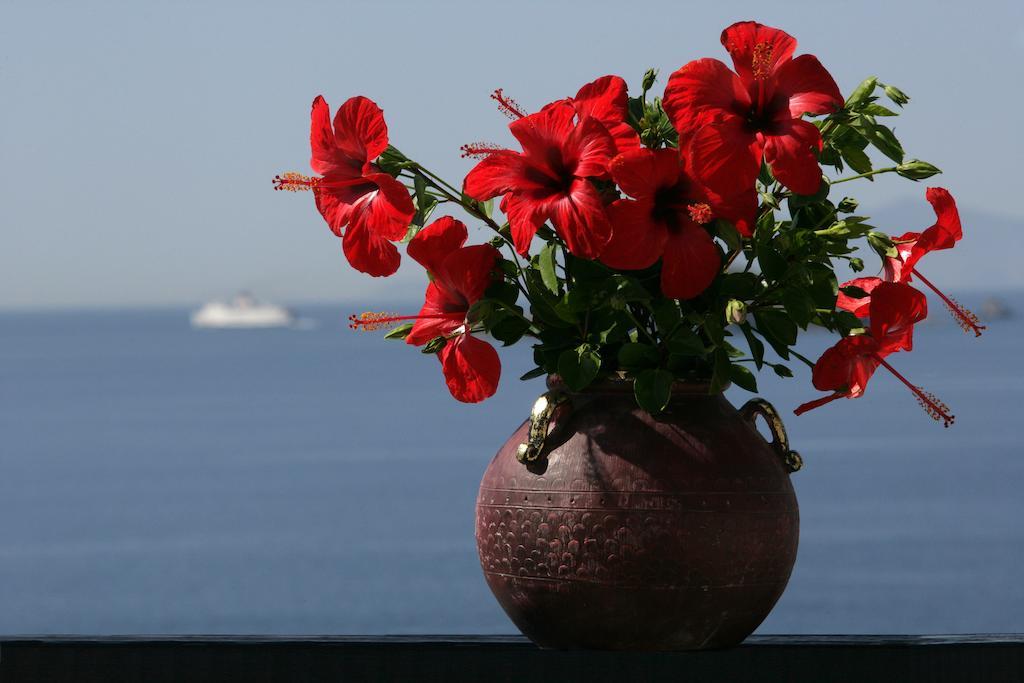 Andros Holiday Hotel Gavrio Exterior foto