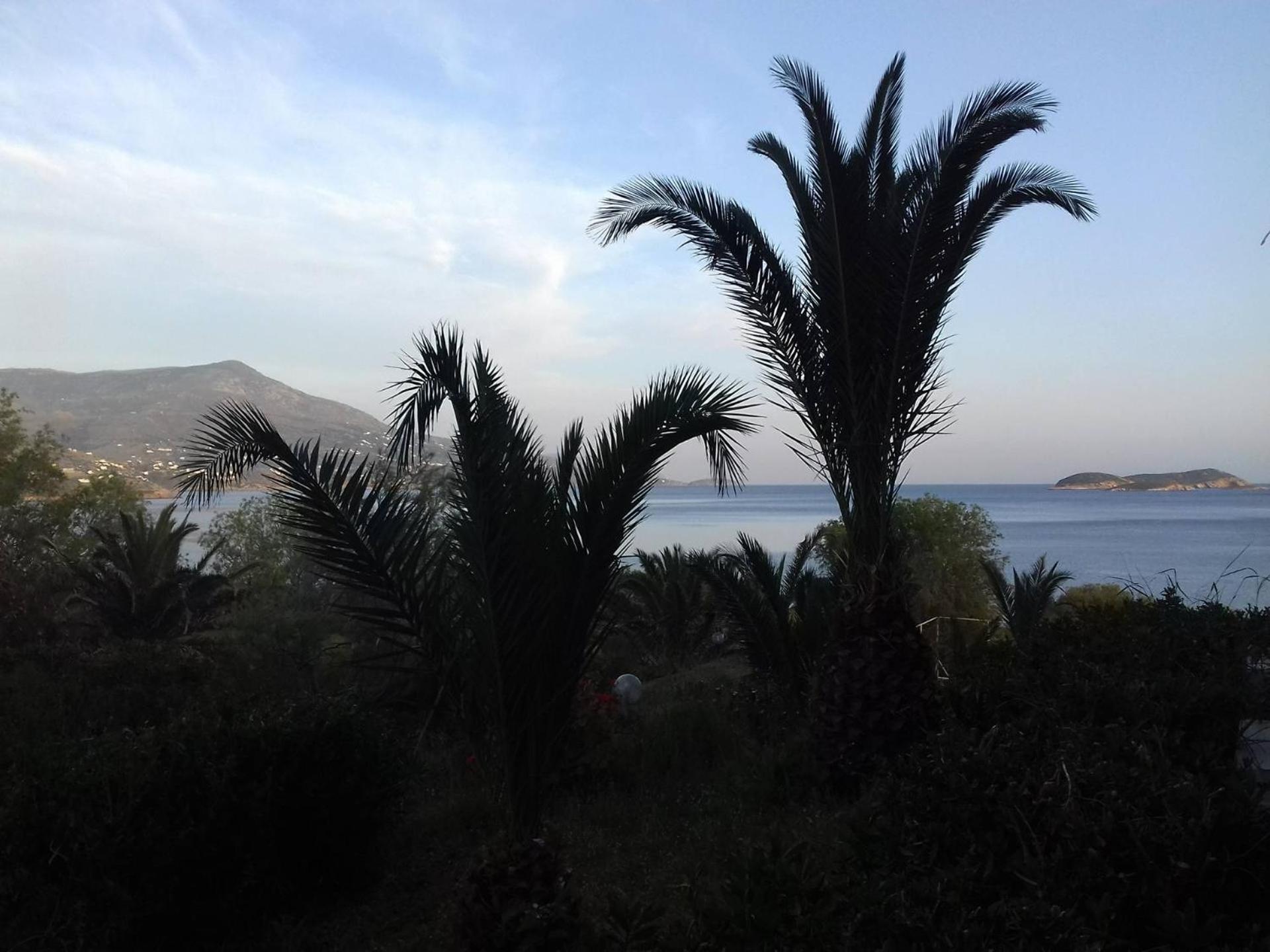 Andros Holiday Hotel Gavrio Zimmer foto